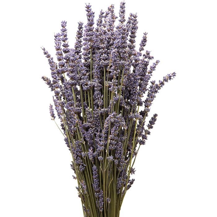 Bouquet de lavande séchée environ 200-250 tiges lavande de Provence parfum  senteur d'ambience fleurs séchées bleues A227 - Cdiscount Maison