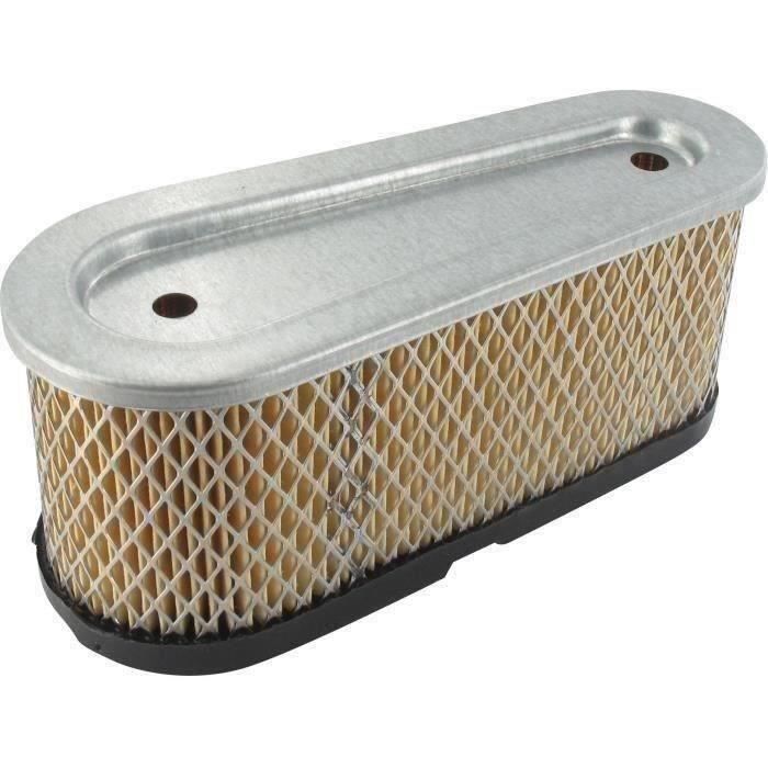 Filtre à air TECUMSEH 36356