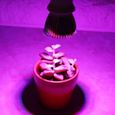 LED Lampe d'ampoule spectre complet élèvent pour l'usine hydroponique d'intérieur de fleur E27  BOH-1