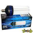 NEW AMPOULE CFL SUPERPLANT V2 200W CROISSANCE 6...-1
