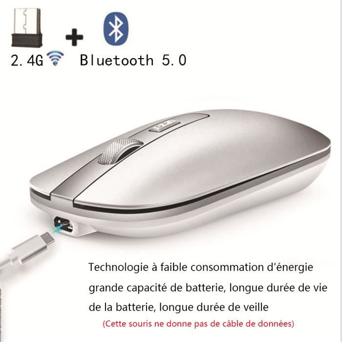 SDLOGAL Souris Bluetooth Rechargeable silencieuse(Tri-Mode: BT 5.0