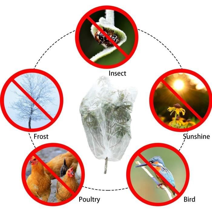 Filet Protection Arbre Fruitier KUWUNG - 4 Pièces 1x1.5m - Anti-insectes Et Oiseaux - Jardin Potager