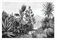 papier peint panoramique paysage tropical noir et blanc - 4 x 2,79 m - 158953-2