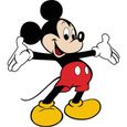 Parure de couette 2P pour lit 1 place 90 x 190 cm 100% Polyester-Microfibre "Mickey Mouse 2"-2
