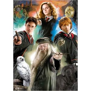 PUZZLE Puzzle 500 pièces : Harry Potter