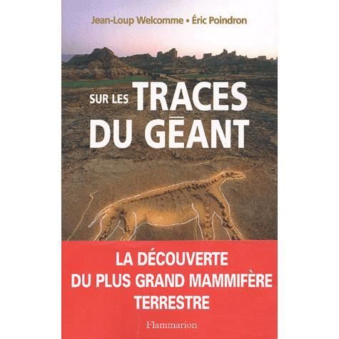 Sur Les Traces Du Geant Achat Vente Livre Flammarion Parution 12 03 2003 Pas Cher Cdiscount
