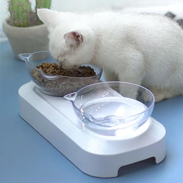 Double bol de nourriture pour animal domestique avec support surélevé pour chats et chiens de petite taille