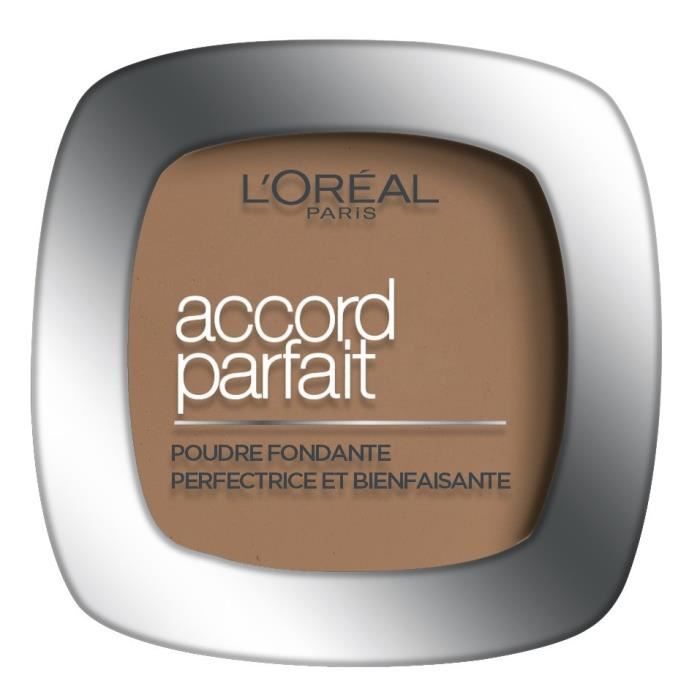 L'Oréal Paris Poudre Accord Parfait 10D Doré foncé