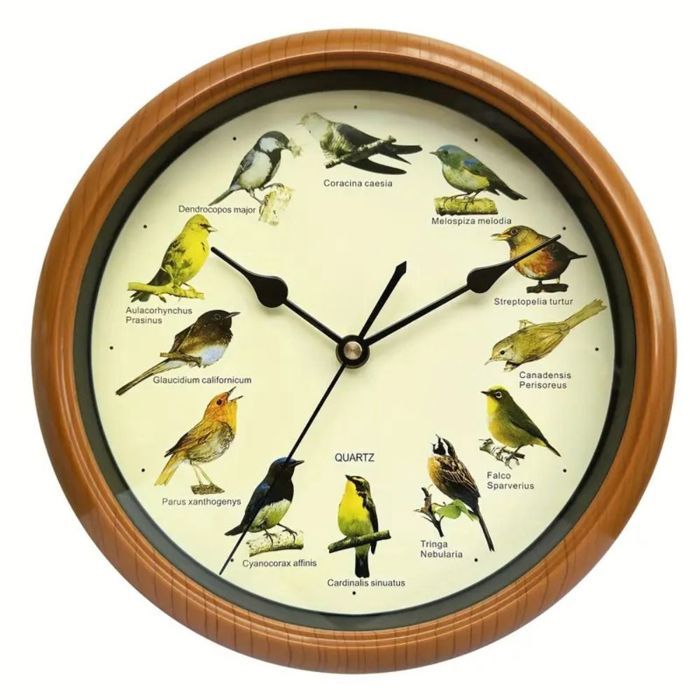 Horloge Murale Coucou 25 Cm Avec Chants D'oiseaux - 12 Espèces Différentes, Silencieuse La Nuit - Décoration Salon