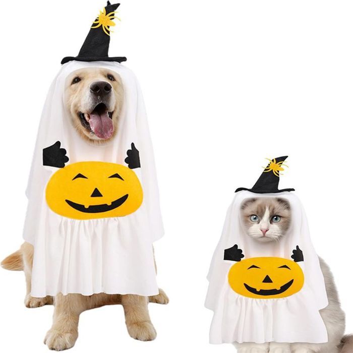 Costume Halloween pour chien - Citrouille et fantôme - Taille M - Déguisement fête carnaval photo
