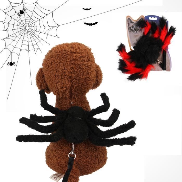 Chien Laisse Avec Araignee Chien Costume D Halloween Cosplay Vetements Decoration Halloween Habille Des Accessoires Pour Chien Chi 9 Achat Vente Moulin A Cafe Cdiscount