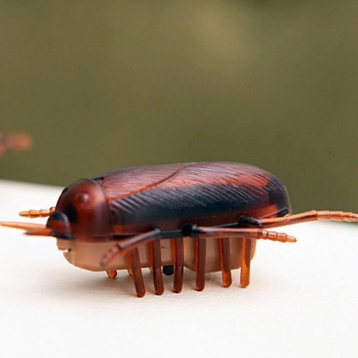 Version Roach Souris Jouets 1 Pc Te Rc Chat Drole Jouer Pour Chats Cafard Electronique Jouet 22 Cdiscount Version Roach Souris Jouets 1 Pc Te Rc Chat Drole Jouer Pour Chats Cafard Electronique Jouet 22 Cdiscount