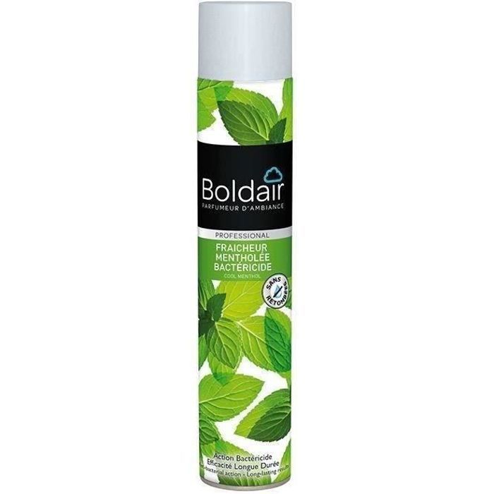 Désodorisant bactéricide Fraîcheur mentholée 500 mL