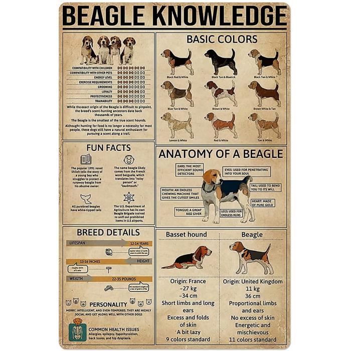 SmartCows Plaque En Métal Vintage Rétro 20,3 X 30,5 Cm