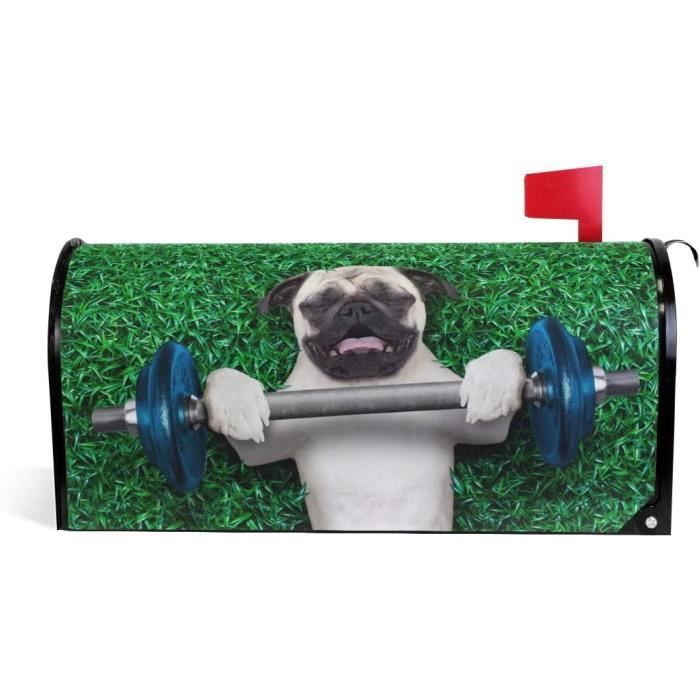 Miroirs En Acrylique En Forme De Chien Labrador Assis - Tailles Variées