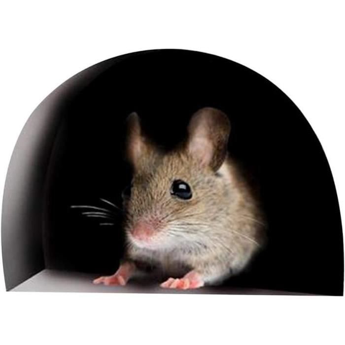 DIY SKIRTING DECAL Cartoon Mousehole Black Mice Pattern Wall Stickers EUR 3,19 - FR
