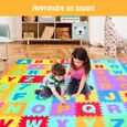 DREAMADE Tapis de Jeu pour Enfants en Mousse EVA, Tapis de Puzzle 72 Pièces avec Alphabets et Chiffres Détachables pour Tout-Petits-2
