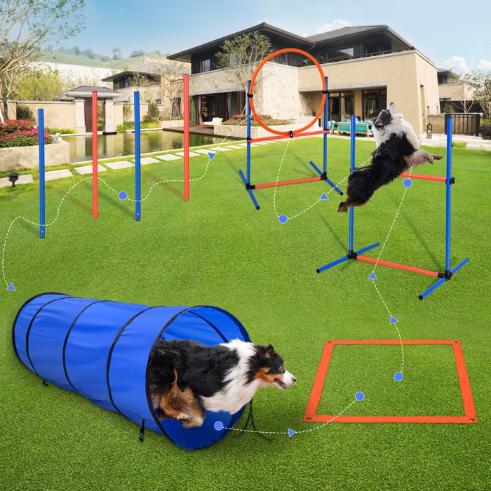 Kit Agilité Pour Chien - 8 Cônes + 8 Barres - Parcours D'Obstacles D'Entraînement Pour Sport Canin & Football