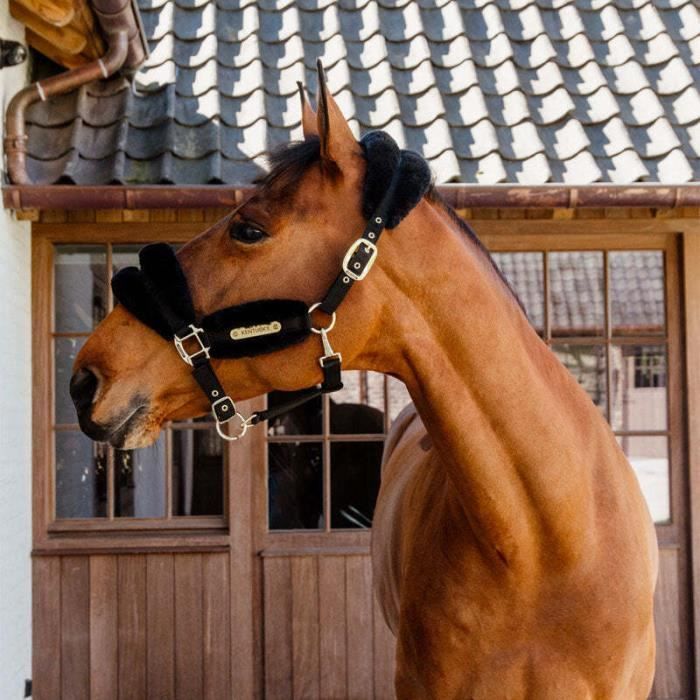 Set De Selle De Cheval Western En Cuir - Course De Baril - Taille 10 à 18 Pouces