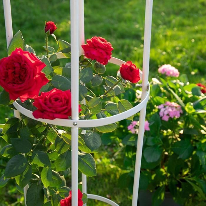 6x obélisques de jardin pour roses, sur pied, tuteur plantes grimpantes,  colonne, métal, HLP 192 x 35 x 35 cm, vert