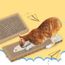 Griffes De Chat Droles Appat Sisal Chat Plat Planche A Gratter Jouet Pour Chat Fournitures Pour Animaux De Compagnie Achat Vente Arbre A Chat Griffes De Chat Droles Appat Cdiscount Griffes De Chat Droles Appat Sisal Chat Plat Planche A Gratter Jouet Pour Chat Fournitures Pour Animaux De Compagnie Achat Vente Arbre A Chat Griffes De Chat Droles Appat Cdiscount