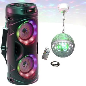 Enceinte sur batterie 700W Bluetooth USB + Micros IBIZA PORT12VHF-BT