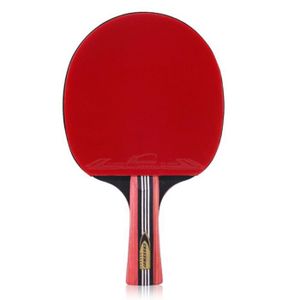 KIT TENNIS DE TABLE Raquette Ping Pong,Long,No3880,Débutant divertisse