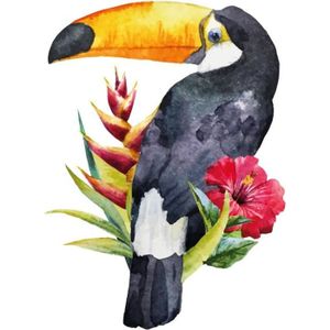 Toucan Perroquet Oiseau Mural Sticker Autocollant c0174