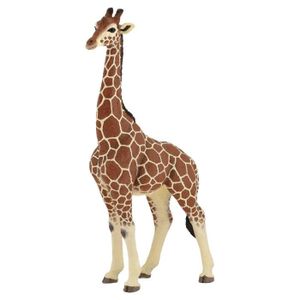FIGURINE - PERSONNAGE Figurine - PAPO - Girafe Mâle - Peinte à la main -