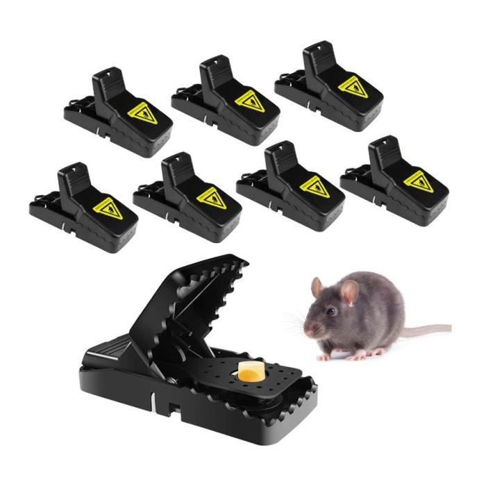 Pige Rat Jardilandnull