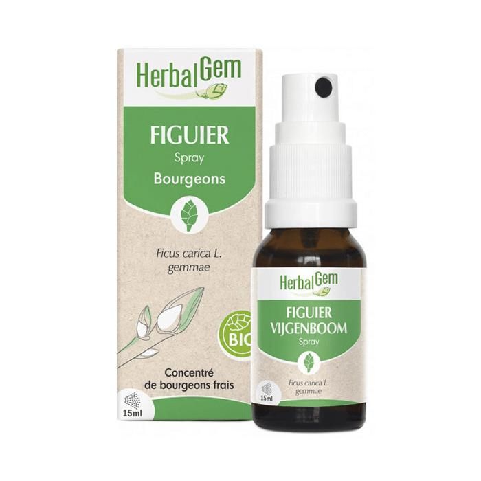 Meilleurs prix pour Herbalgem FIGUIER SPRAY BIO 15ML