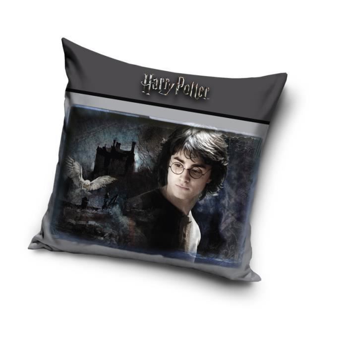 Coussin Décoratif Harry Potter 40x40cm - 100% Polyester - Double Face - Lavable 40° - Herding