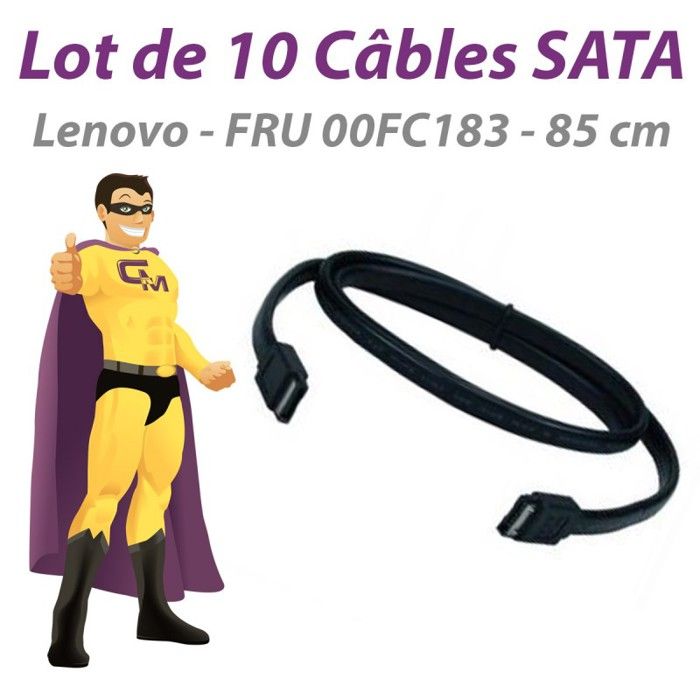 Lenovo Câbles SATA Lot de 10 85 cm - vue 2