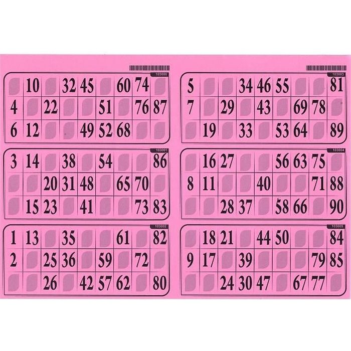Jeu de société - LOTOQUINE - Carton Loto Bingo Plaque de 6 grilles