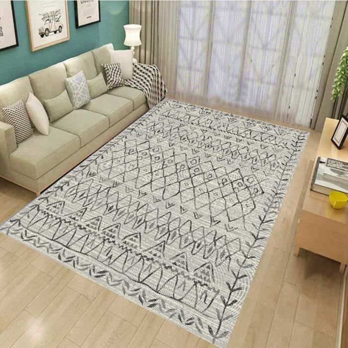Grand Tapis Salon Gris