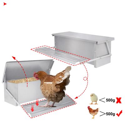 Mangeoire 5 kg pour poules et volailles • nourrisseur à trémie réglable en acier galvanisé Mangeoire 5 kg pour poules et volailles • nourrisseur à trémie réglable en acier galvanisé