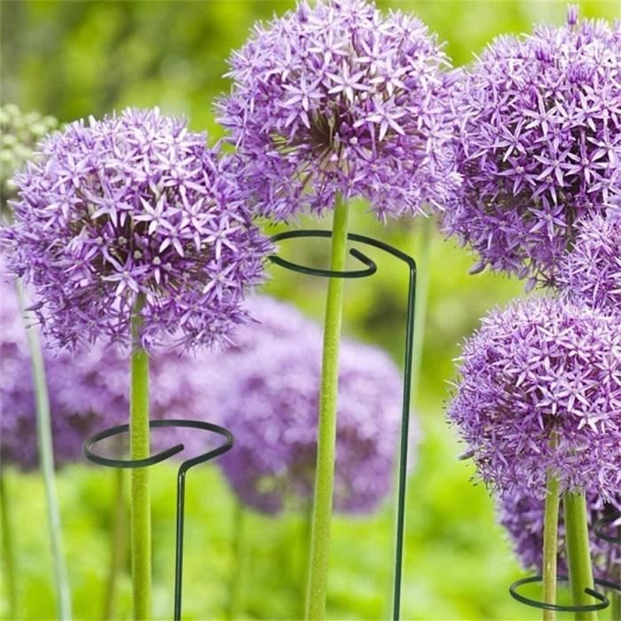 Lot De 50 Tuteurs De Plantes En Bambou 45 Cm Avec 50 Liens Métalliques - Support Jardin Et Plantes Grimpantes