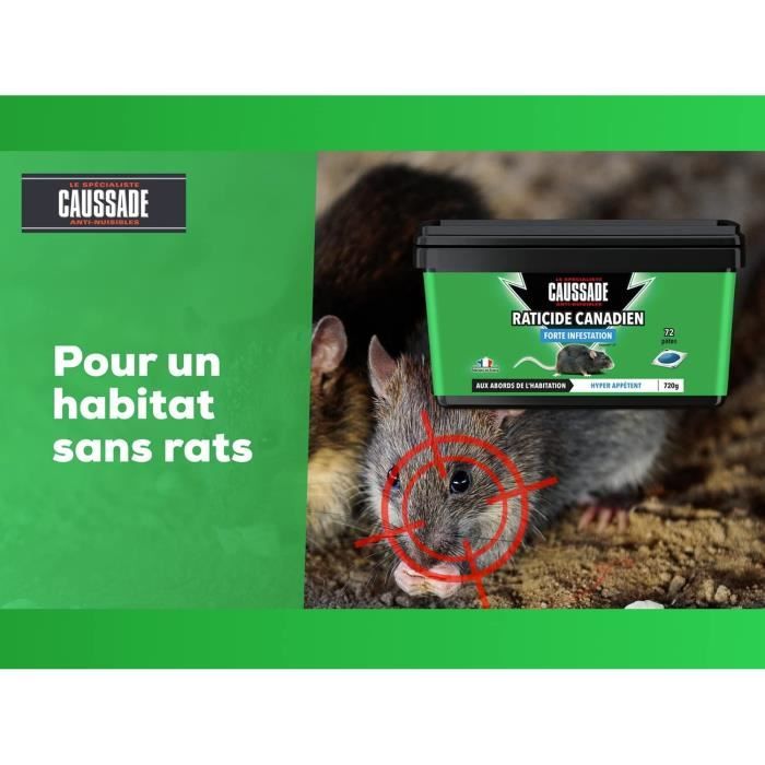 Kit prevention rat et souris caussade
