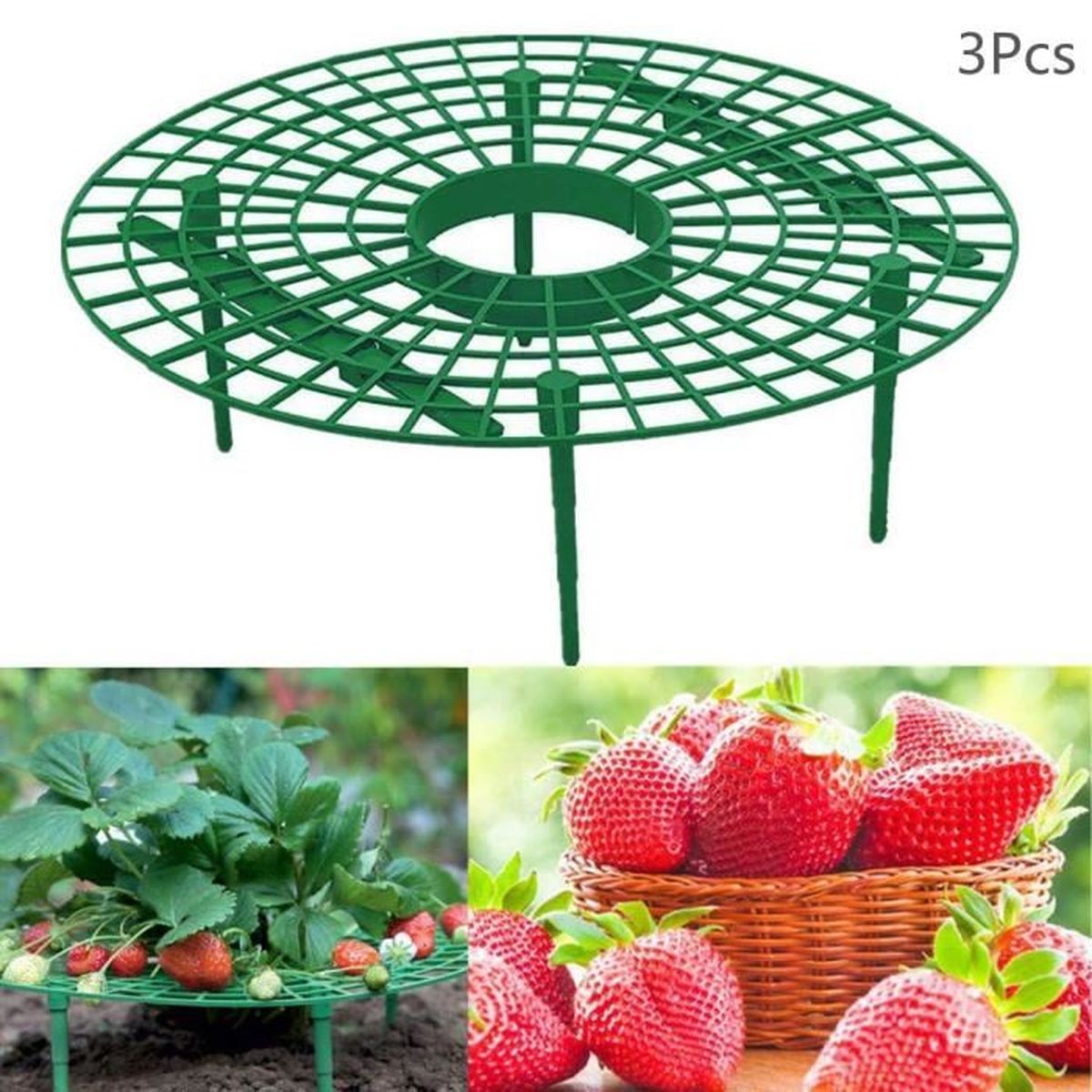 Comment lutter contre les limaces au jardin ? - Simplement Nature