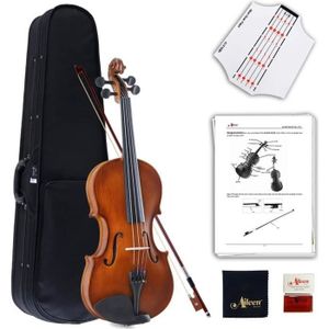 NAOMI – étui pour violon Portable Triangle, mallette de rangement étanche  en fibre de verre à compression, haute brillance, belle mallette pour violon  4/4 - AliExpress