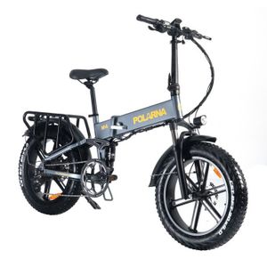 KIT VÉLO ÉLECTRIQUE Vélo électrique pour Adultes  Fat Tire E Bike avec