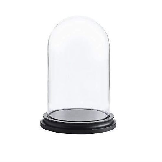 Cloche En Verre Transparent Sur Base Bois Noir – Dôme Décoratif 30 Cm Fait Main