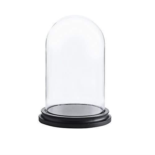 WHOLE HOUSEWARES Cloche en Verre Transparent avec Base MDF Noir 14,5cmDx16,5cmH - Centre de Table Décoratif - 10 pouces de Hauteur