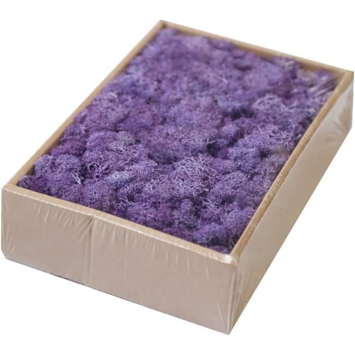 Mousse D'Islande Naturelle NaDeco 500 G - Mousse De Renne Décorative, Conservée, Pour DIY Et Décoration