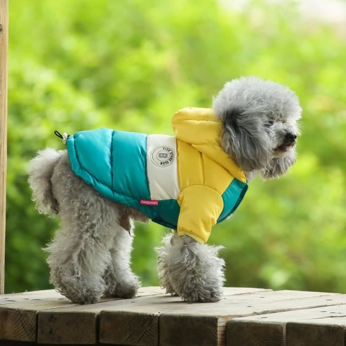 Manteau hiver top chien