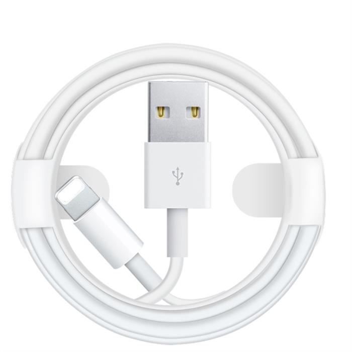 Apple Lightning - USB 2m USB A Eclairage Blanc câble de téléphone portable