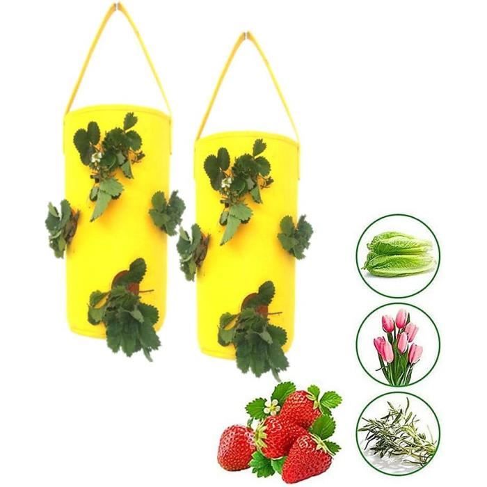 JNUYISW Lot De 5 Sacs Plantation Pomme De Terre 43L Avec Fenêtre Et Poignées - Grow Bags