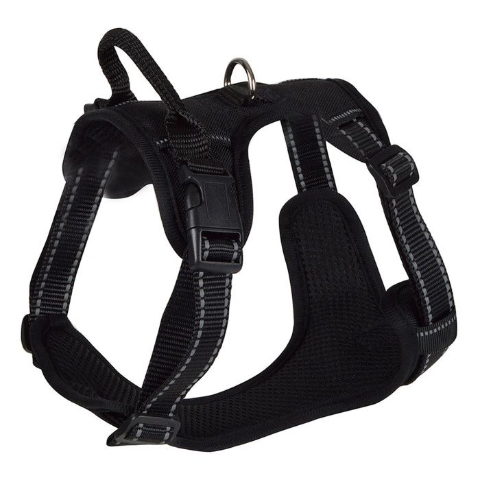 Harnais Anti-Traction pour Chien Sécurité 81cm Noir Harnais Anti-Traction pour Chien Sécurité 81cm Noir