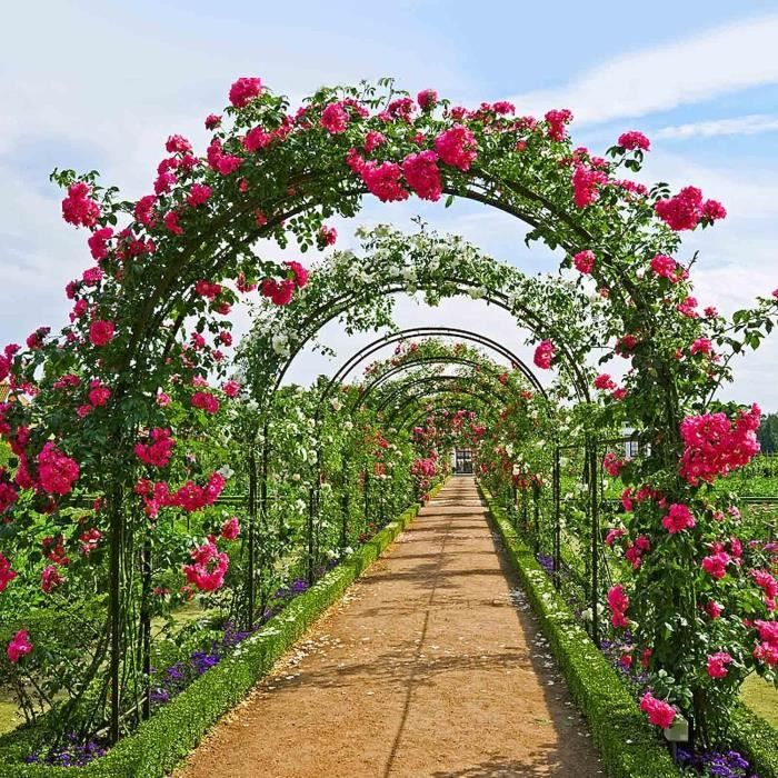 Arche Jardin En Métal - TRAHOO - Arceau de Jardin pour Plantes Grimpantes -  Fer Forgé Résistant aux Intempéries - Cdiscount Jardin