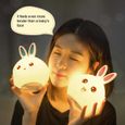 Veilleuse-Lumière de nuit de lapin LED USB pour enfants bébé cadeau cadeau animal dessin animé lampe décorative lampe-bleu-2